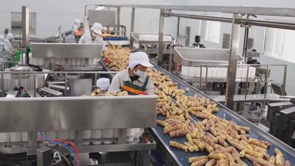 (希望的田野)吉林省预制菜产业步入发展快车道